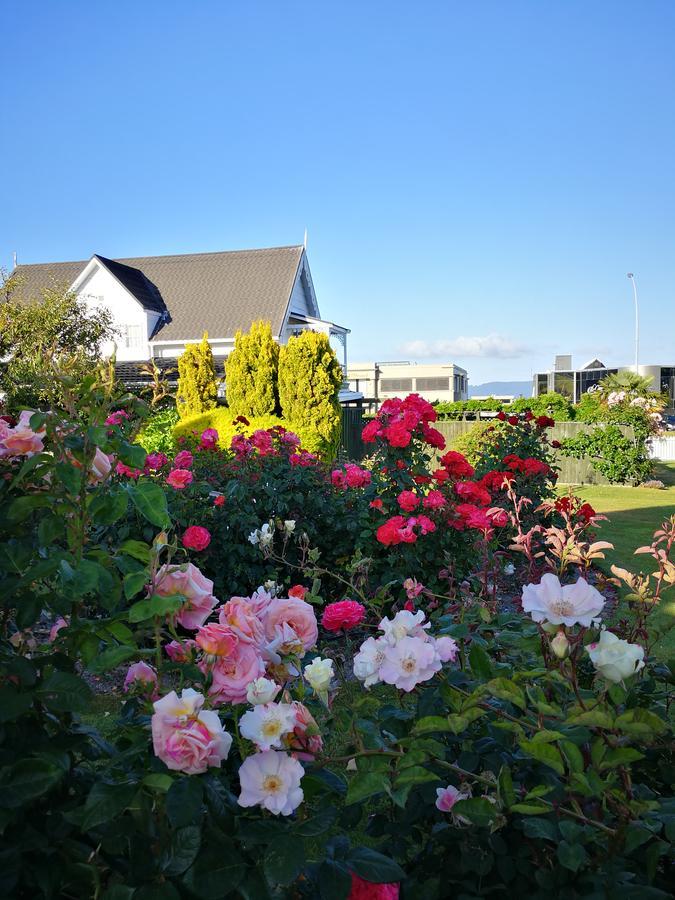 Phoenix Thermal Resort - Taupo Exterior photo